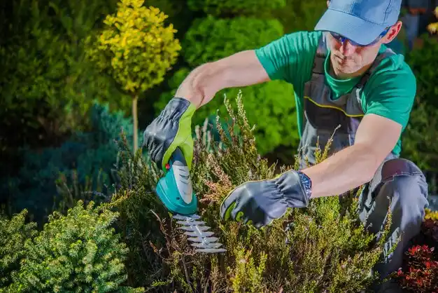 landscaping services Louisa